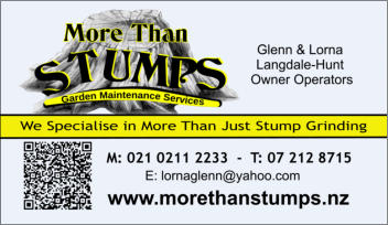 More Than Stumps Business Card