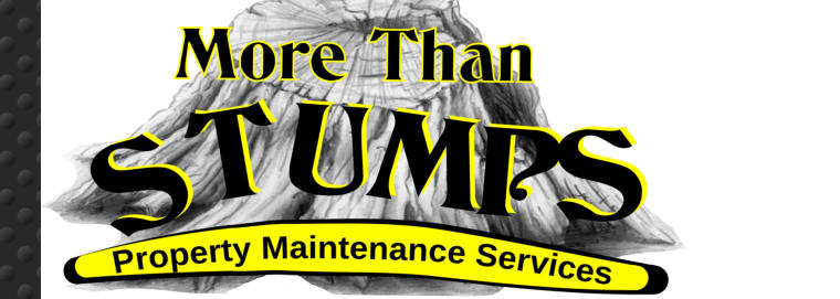 More Than Stumps