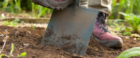 general gardening services waihi