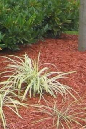 gardening services waihi