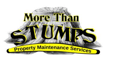 gardener wanted  waihi